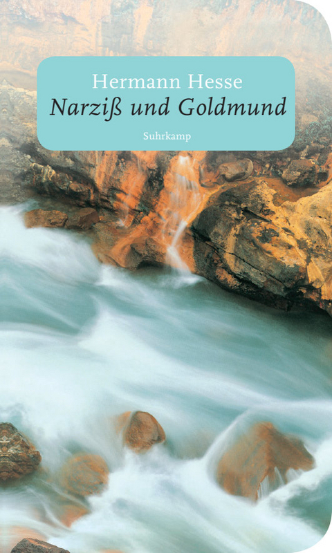 Narzi&szlig; und Goldmund - Hermann Hesse