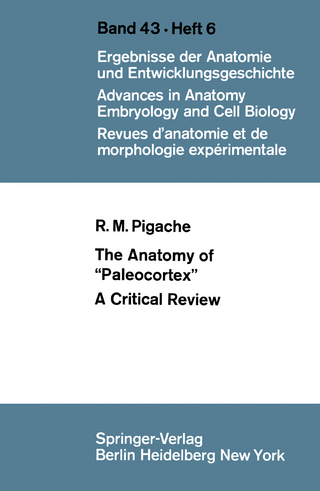 The Anatomy of “Paleocortex”