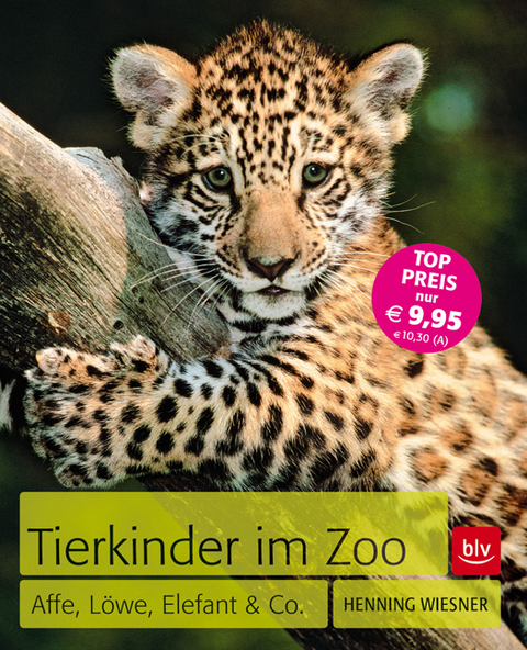 Tierkinder im Zoo - Henning Wiesner