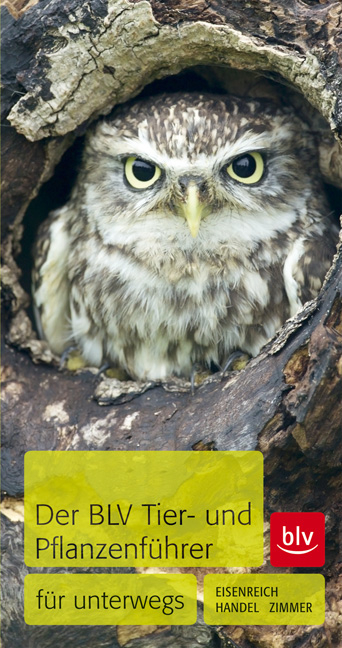 Der BLV Tier- und Pflanzenf&uuml;hrer - Wilhelm Eisenreich, Alfred Handel, Ute E. Zimmer
