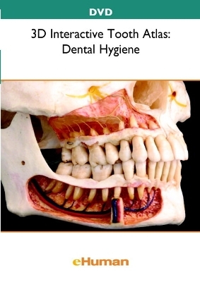 3D Interactive Tooth Atlas - . eHuman