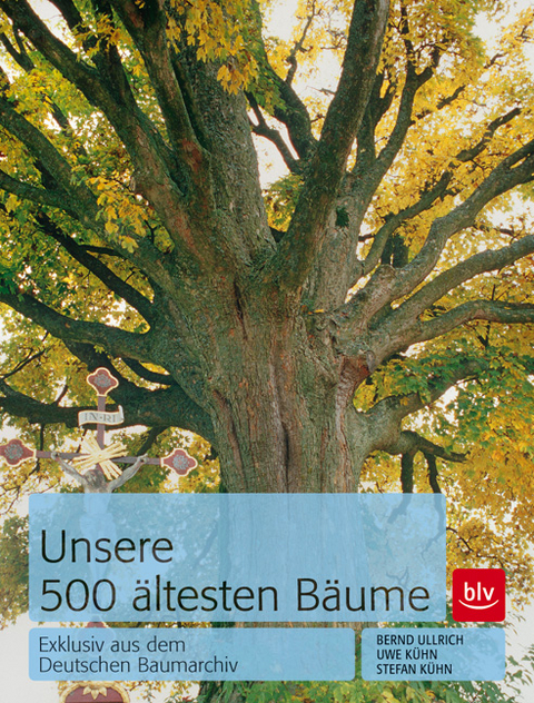 Unsere 500 &auml;ltesten B&auml;ume - Stefan K&uuml;hn, Uwe K&uuml;hn, Bernd Ullrich