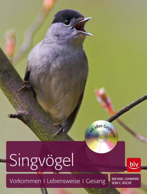 Singv&ouml;gel - Michael Lohmann, Jean C. Roch&eacute;