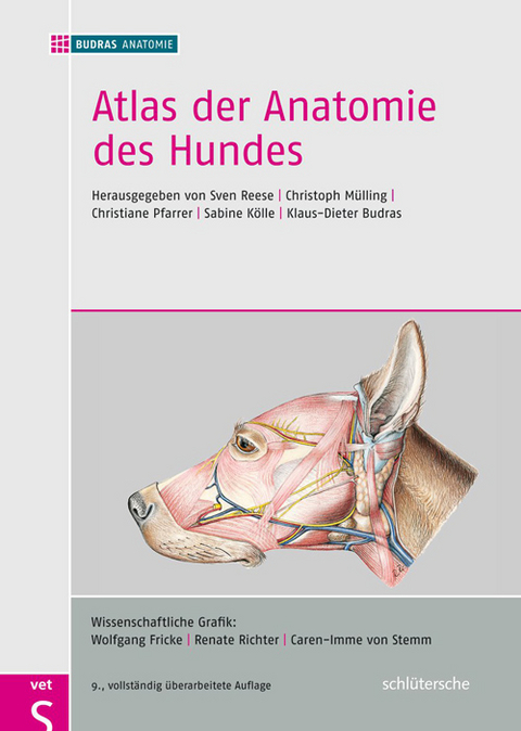 Atlas der Anatomie des Hundes - 