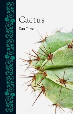 Cactus - Dan Torre