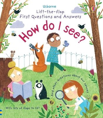 First Questions and Answers: How do I see? - Katie Daynes