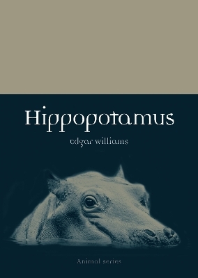 Hippopotamus - Edgar Williams