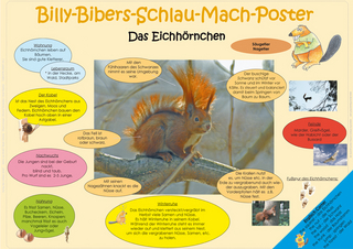 Billy-Bibers-Schlau-Mach-Poster  - Das Eichhörnchen