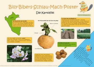 Billy-Bibers-Schlau-Mach-Poster - Die Kartoffel