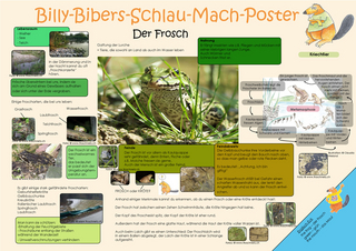Billy-Bibers-Schlau-Mach-Poster - Der Frosch