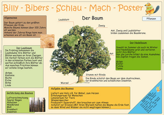 Billy-Bibers-Schlau-Mach-Poster - Der Baum