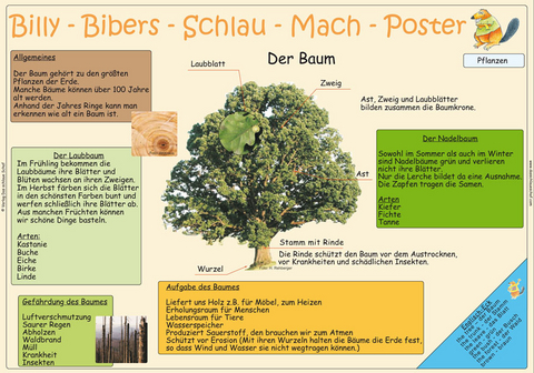 Billy-Bibers-Schlau-Mach-Poster - Der Baum - Mariane Ehelebe, Skadi Schulze