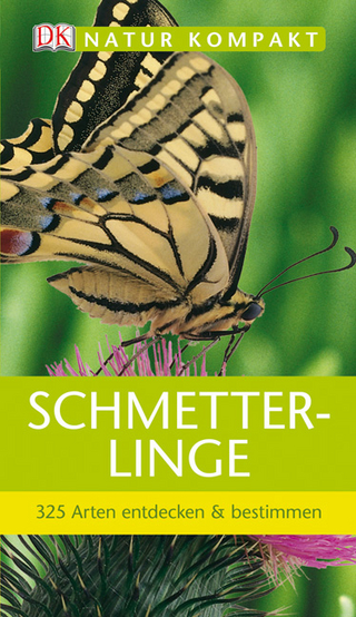 Schmetterlinge