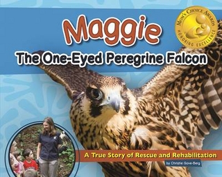 Maggie the One-Eyed Peregrine Falcon