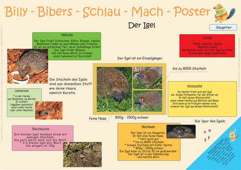 Billy-Bibers-Schlau-Mach-Foto - Der Igel - Katrin von Br&uuml;hl, Skadi Schulze