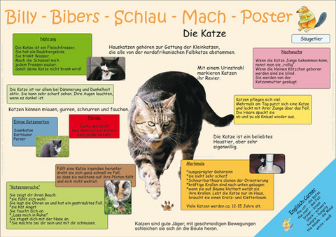 Billy-Bibers-Schlau-Mach-Poster - Die Katze - Katrin von Br&uuml;hl, Skadi Schulze