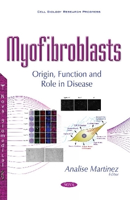 Myofibroblasts - 