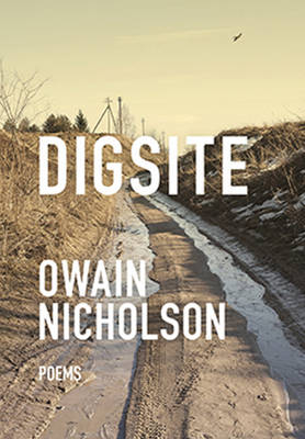 Digsite - Owain Nicholson