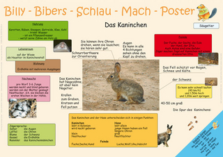 Billy-Bibers-Schlau-Mach-Poster - Das Kaninchen