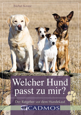 Welcher Hund passt zu mir? - B&auml;rbel Kronz