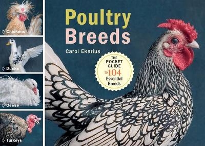 Poultry Breeds - Carol Ekarius
