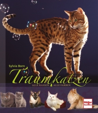 Traumkatzen - Sylvia Born