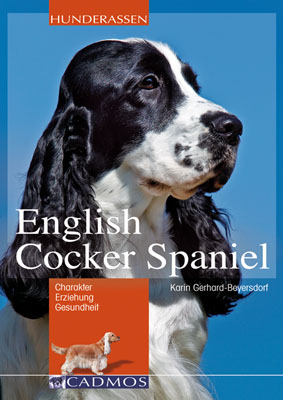 English Cocker Spaniel - Karin Gerhard-Beyersdorf