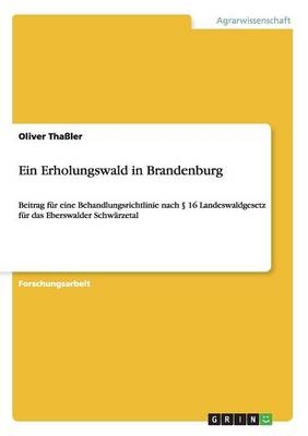 Ein Erholungswald in Brandenburg - Oliver Tha&Atilde;ler