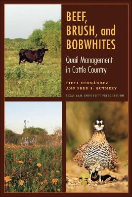 Beef, Brush, and Bobwhites - Fidel Hernandez, Fred S. Guthery