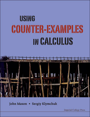Using Counter-examples In Calculus - John H Mason, Sergiy Klymchuk