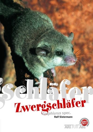 Zwergschläfer