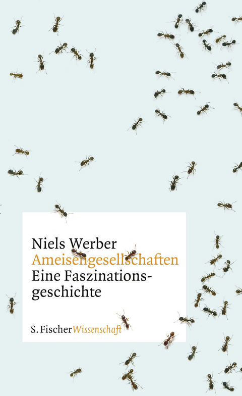 Ameisengesellschaften - Niels Werber