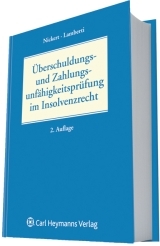 &Uuml;berschuldungs- und Zahlungsunf&auml;higkeitspr&uuml;fung - 