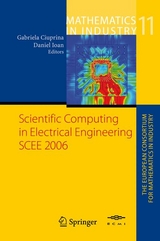 Scientific Computing in Electrical Engineering - 