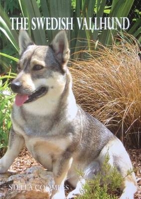 The Swedish Vallhund