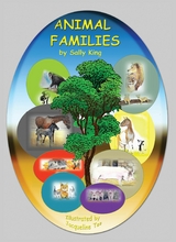 Animal Families -  Sally King