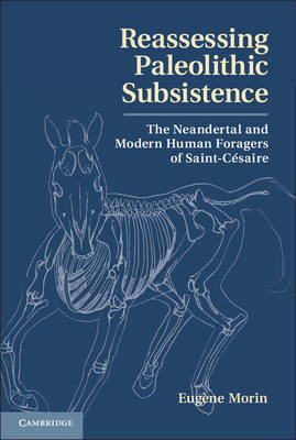 Reassessing Paleolithic Subsistence - Eugène Morin