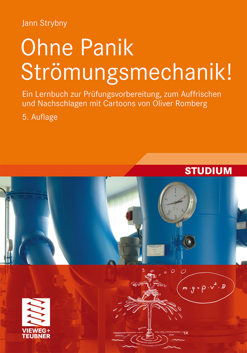 Ohne Panik Str&ouml;mungsmechanik! - Jann Strybny