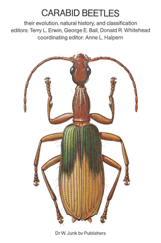 Carabid Beetles