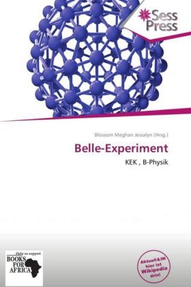 Belle-Experiment - 