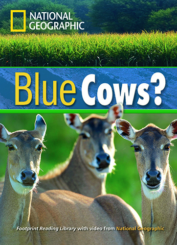 Blue Cows? - National Geographic, Rob Waring