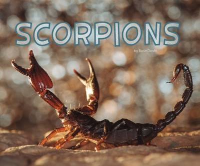 Scorpions - Rose Davin