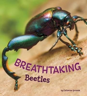 Breathtaking Beetles - Catherine Ipcizade