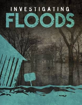 Investigating Floods - Elizabeth Elkins