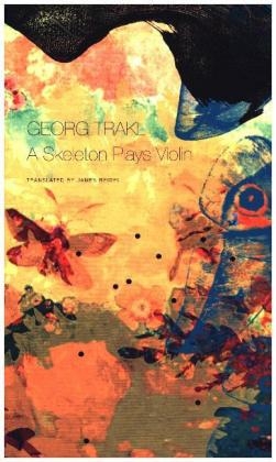 A Skeleton Plays Violin