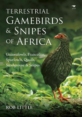 Terrestrial gamebirds & snipes of Africa - Rob Little