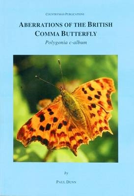 Aberrations of the British Comma Butterfly Polygonia C-Album