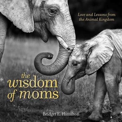 The Wisdom of Moms - Bridget Hamilton