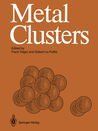 Metal Clusters