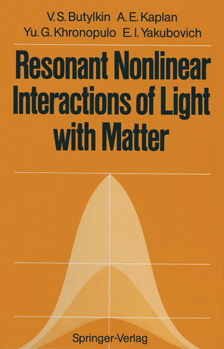 Resonant Nonlinear Interactions of Light with Matter